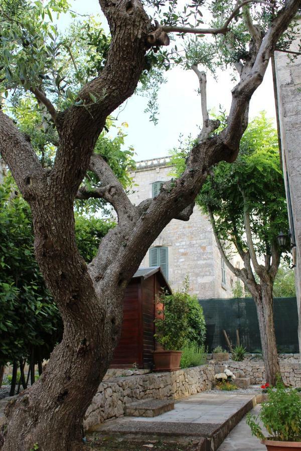 Domus Relax Bed and Breakfast Selva Di Fasano Εξωτερικό φωτογραφία
