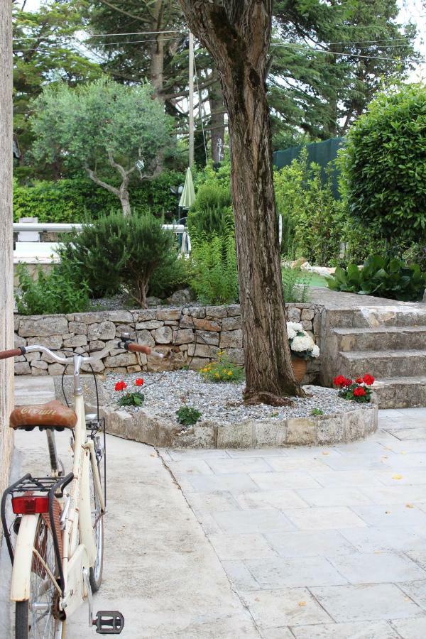Domus Relax Bed and Breakfast Selva Di Fasano Εξωτερικό φωτογραφία